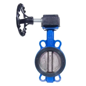 Cast Iron Manual Soft Seal Wafer Type Butterfly Valve