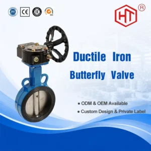 Cast Iron Worm Gear Wafer Butterfly Valve for Air Water Electric Power Corrosion-Resistant Wafer Valve
