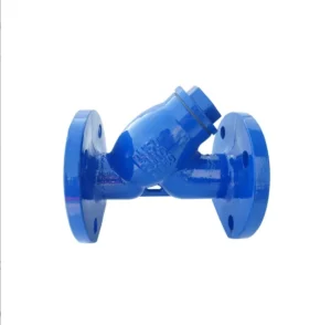 Cast Iron Y Type Filter Flange Groove Fine Stainless Steel Mesh Strainer DN50 for Water Oil and Gas