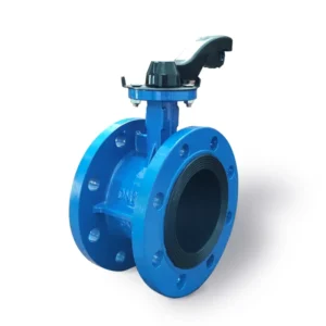 Cast Steel Double Flange Butterfly Valve Seawater Worm Gear Bronze Disc Manual Flange Butterfly Valve