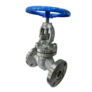 Cast Steel High Pressure Forged Steel Globe Valve Normal Temperature Gate Steam Water Service