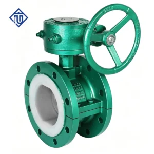 Cast Steel PTFE Lined Worm Gear Flanged Butterfly Valve for Chemical Industry