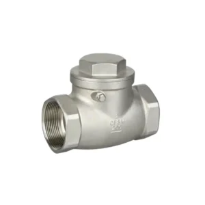 Casting 304 Stainless Steel Horizontal Check Valve Internal Thread Swing Corrosion Resistant Shutoff Water Non Return Valve