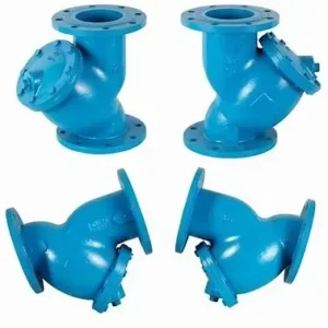 Casting Iron Y Type Strainer Flanged PN16 DN50 DN80 Industrial Pipeline Water Y Strainer