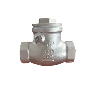 Casting Thread Valve Stainless Steel CF3M CF8M Gate Female Globe Horizontal Swing Check Valve 304 316 Y Strainer