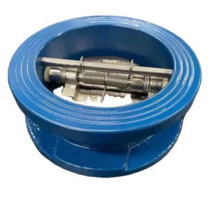Changhong 4 Inch Flap Check Valve Ductile Iron Stainless Steel One Way Non Return Valve Dual Plate Wafer Check Valve