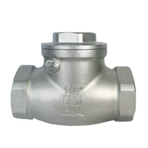 Check Valve 304 Female Thread DN20