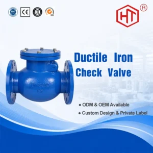Check Valve Ductile Iron Hydraulic Vertical Swing Check Valve