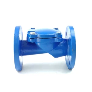 Check Valve PN16 DN100 Cast Iron Type Rubber Standard Ductile Iron General Normal Temperature Manual DN50 DN400 Check Valve