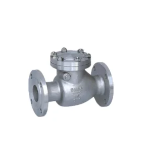 Check Valve Stainless Steel Manual Flanged Swing Check Valve for Water