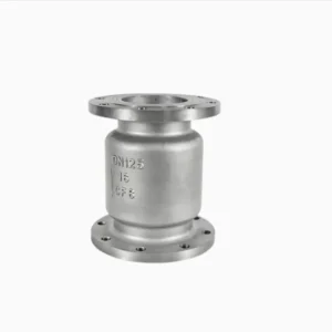 Check Valve Vertical Lift Flange End Stainless Steel Material Check Valve
