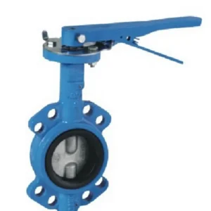 China EN 593 PN10 PN16 CLASS125 Diuble Shaft Butterfly Valve