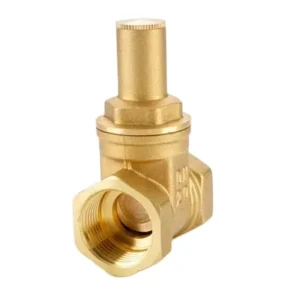China Factory DN15 Brass Lockup Gate Valve