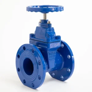 China Factory Flange Type Non Rising Stem Soft Sealing Ductile Cast Iron Sluice Gate Valve