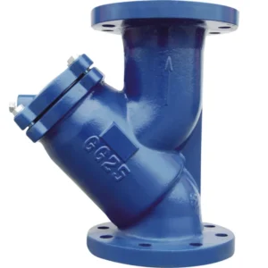 China High Quality Ductile Iron Y Strainer for Water Pipe PN16 15mm Inline CI Strainer at Lower Cost