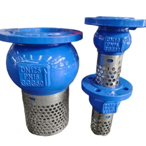 Chinese Supplier Competitive Price check foot valve 6in for water pump foot operated valve