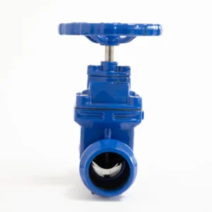 Chinese Supplier Ductile Iron 63MM Socket Gate Valve with Handwheel