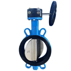 Chip Manual Cast Iron butterfly Valve Turbine Encapsulated butterfly Valve Clamp butterfly Valve