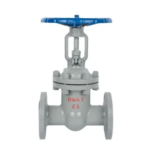 Class 600 Gate Valve DN50 DN300 Epoxy Blue Painted Finish Corrosion Resistant Full Bore Rising Stem Flanged High Pressure Water