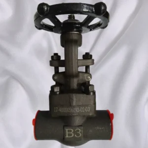 Class800 Forged Steel Alloy Globe A105 SS Flange Connection Manual Valve for Oil and Gas
