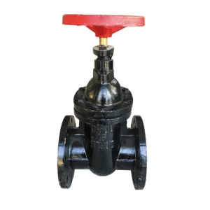 Concealed Stem Soft Seal Gate Valve Flange Cast Steel Gate Valve