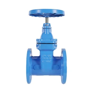 Concealed stem Gate Valve Cast Iron Gate Valve