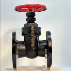 Corrosion Proof Copper Core Ductile Iron Manual Shutoff Gate Valve for Industrial Wastewater Treatment Temperature 1in-8in Port