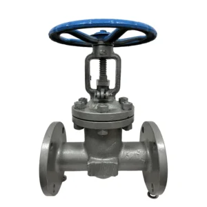Corrosion Resistant Flanged Gate Valve Stainless Steel Cast Steel High Pressure Water Control Gate Valve for Chemical