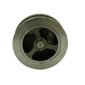 Corrosion-Resistant Pressure-Resistant Water Check Valve Industrial Lift Check Valve