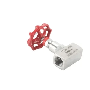 Corrosion Resistant SS316 Stainless Steel Needle Valve J13W PN64 SS316 DN6 DN25 Female Threaded Manual Flow Control