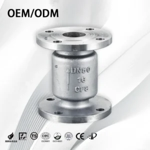 Corrosion Resistant Shutoff Water OEM ODM SS304 316 Stainless Steel Flange Check Valve With PTFE Sealing