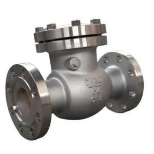 Cryogenic Check Valve Stainless Steel 196°C for LNG Liquid Nitrogen Service