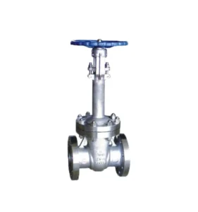 Cryogenic Gate Valve Chinese Manufacturer for Industry