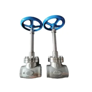Cryogenic Globe Valve