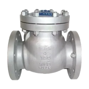 Cryogenic Swing Type Stainless Steel Check Valve for LNG Terminal Liquid Nitrogen Transfer System Gas Low Emission