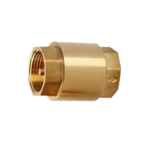 Custom Brass Check Valve Durable Spring Design for Water Steam Applications Check Valve Ball Valve Manufacturer
