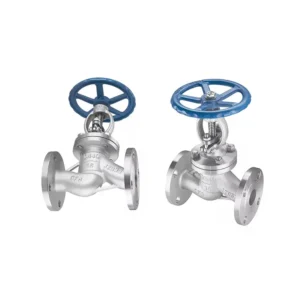Custom Flange Stainless Steel 316 Water Steam Flow Pipe Control DN125 Globe Valve