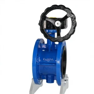 Custom Industrial 16 Inch Cast Steel Water Valve Worm Gear Driven Flanged Butterfly Valve