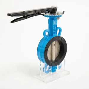 Custom Manual High Performance 2 Inch Cast Ductile Iron Wafer Butterfly Valve DN25 DN200 Handle