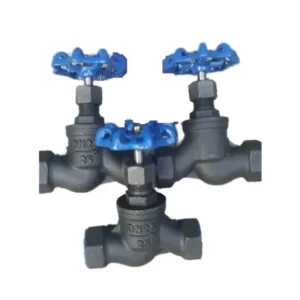 Custom Manufacturer’s Globe Valve Threaded Connection Solenoid Power Water Gas Oil Control Ball Gate Stop Check