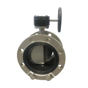 Custom Stainless Steel Turbine Flange Butterfly Valve Sealed Ductile Iron Butterfly Valve