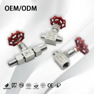 Customizable 304 316L Stainless Steel High-Precision Needle Valve for Instrumentation Pipeline