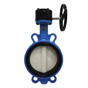 Customizable Cast Iron Manual Soft Seal Butterfly Valve with Turbine Clamp for Water Media Applications