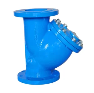 Customizable Ductile Iron Y Type Filter Valve with Flanged Strainer Applied to Hydraulic Power