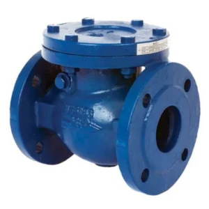 Customizable Normal Pressure Stainless Steel Check Valve High Resistance Flange Connection DN40-600 for Irrigation Systems