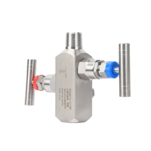 Customizable OEM 2 Valve Manifold High Pressure Medium High Temperature Needle Instrumentation Shutoff Valve