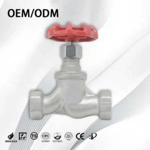 Customizable Stainless Steel 304 316L Manual Globe Valve for Water Shutoff and Flow Control with Threaded Connections