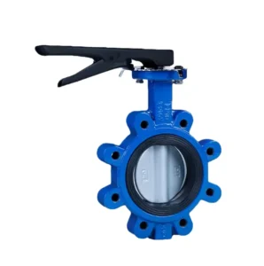Customized DN100 Manual High Temperature PTFE Lined Butterfly Valve with Handle Ductile Iron for Water and Oil Media