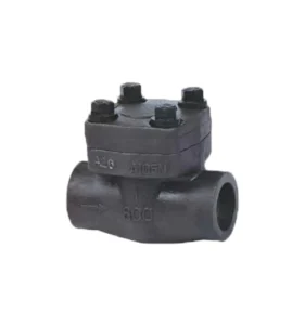 Customized Forged Check Valve Stainless Steel Check Valve