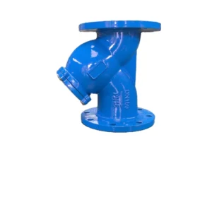 Customized High Precision Industrial Flanged Y Type Strainer Filter